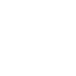 Vision icon